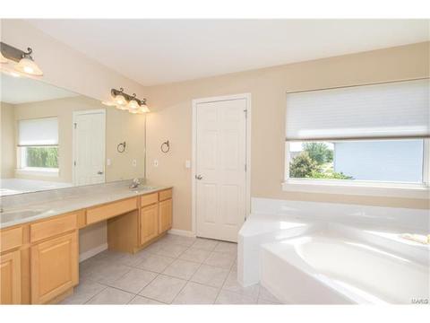 610 Remmick Stables Ct, O'fallon, MO 63368 photo 34