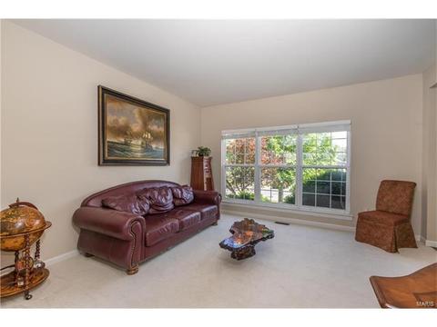 610 Remmick Stables Ct, O'fallon, MO 63368 photo 13