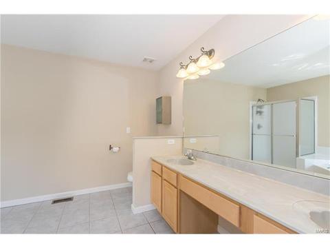 610 Remmick Stables Ct, O'fallon, MO 63368 photo 35