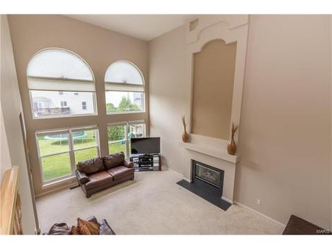 610 Remmick Stables Ct, O'fallon, MO 63368 photo 18