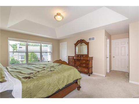 610 Remmick Stables Ct, O'fallon, MO 63368 photo 30
