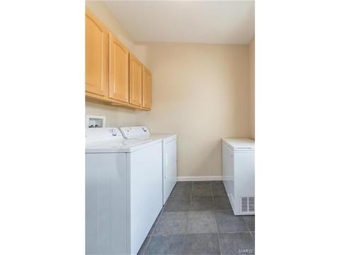 610 Remmick Stables Ct, O'fallon, MO 63368 photo 28