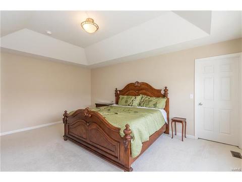 610 Remmick Stables Ct, O'fallon, MO 63368 photo 32