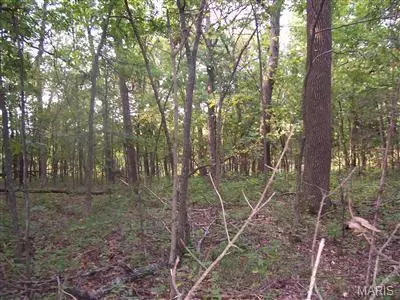 0 W Outer Rd, Farmington, MO 63640