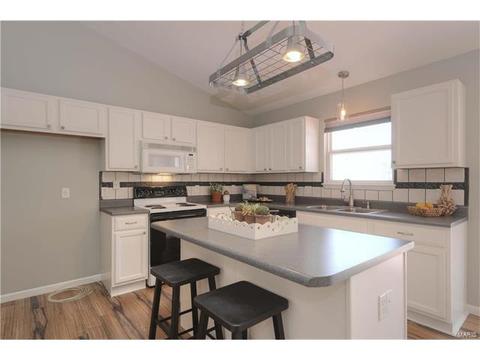 138 Grey Wolf Dr, O'fallon, MO 63366 photo 9