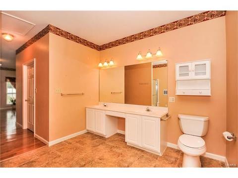 605 Raintree Crossing Dr, O'fallon, MO 63366 photo 15