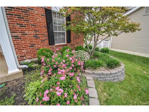 605 Raintree Crossing Dr, O'fallon, MO 63366 photo 29