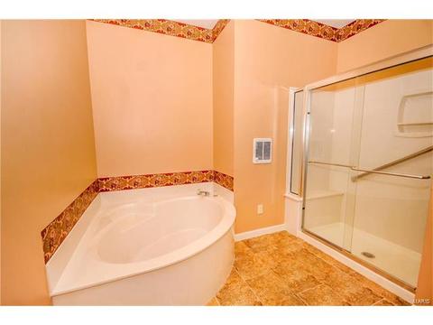 605 Raintree Crossing Dr, O'fallon, MO 63366 photo 16