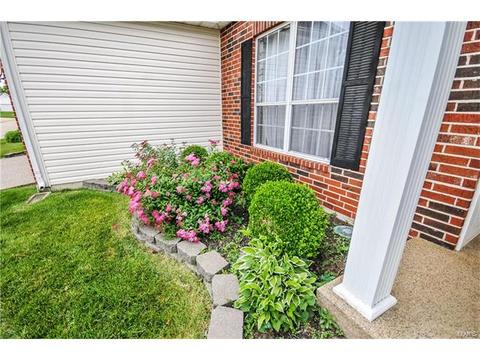 605 Raintree Crossing Dr, O'fallon, MO 63366 photo 28