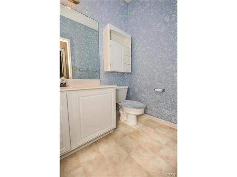 605 Raintree Crossing Dr, O'fallon, MO 63366 photo 20