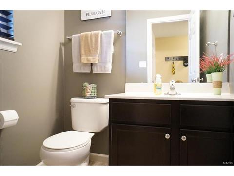 1320 New Charter Ln, O'fallon, MO 63366 photo 17