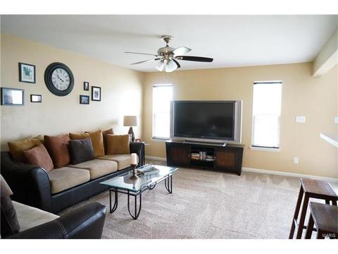1320 New Charter Ln, O'fallon, MO 63366 photo 3