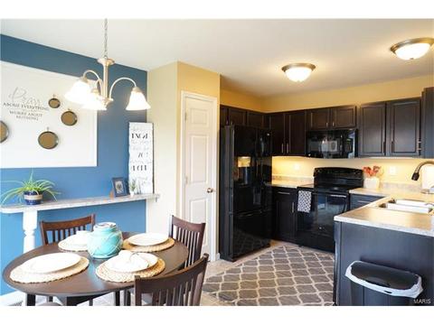 1320 New Charter Ln, O'fallon, MO 63366 photo 9