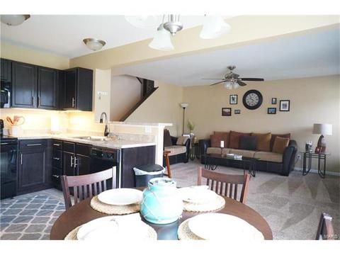 1320 New Charter Ln, O'fallon, MO 63366 photo 8