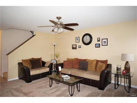 1320 New Charter Ln, O'fallon, MO 63366 photo 15