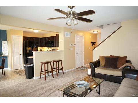 1320 New Charter Ln, O'fallon, MO 63366 photo 6