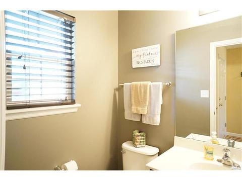 1320 New Charter Ln, O'fallon, MO 63366 photo 16