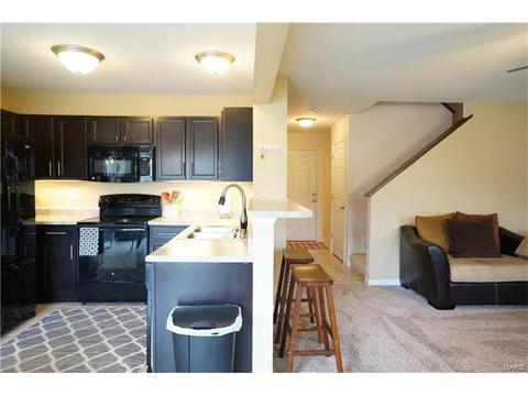 1320 New Charter Ln, O'fallon, MO 63366 photo 11