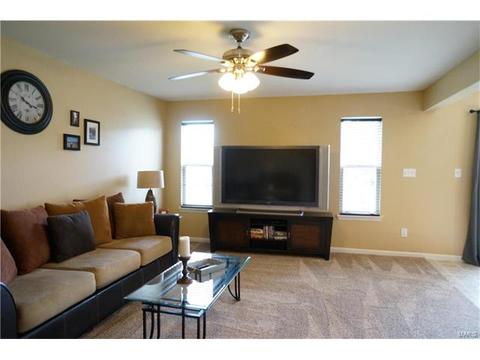1320 New Charter Ln, O'fallon, MO 63366 photo 7