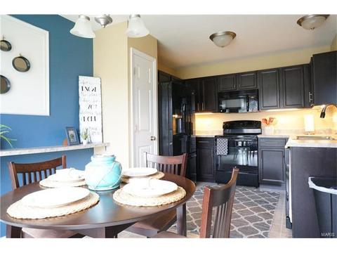 1320 New Charter Ln, O'fallon, MO 63366 photo 10