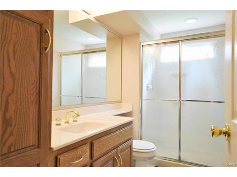 602 Lalor, Ballwin, MO 63011 photo 22
