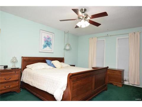 602 Lalor, Ballwin, MO 63011 photo 16
