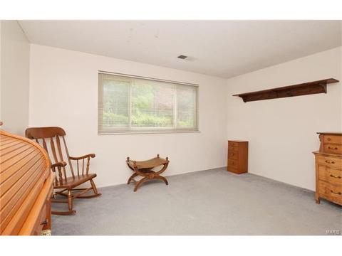 602 Lalor, Ballwin, MO 63011 photo 23