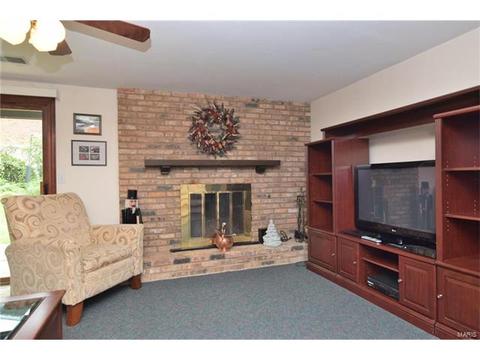 602 Lalor, Ballwin, MO 63011 photo 18