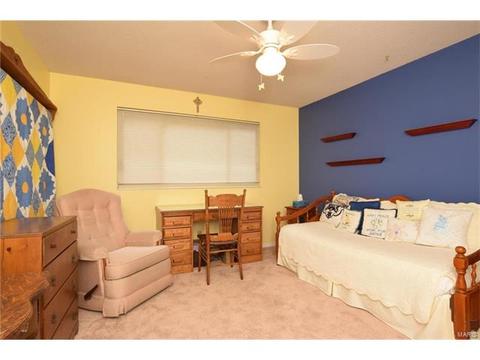 602 Lalor, Ballwin, MO 63011 photo 13