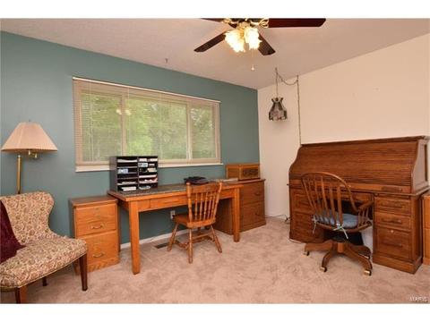 602 Lalor, Ballwin, MO 63011 photo 14
