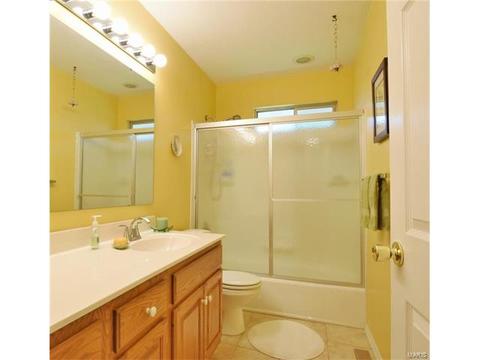 602 Lalor, Ballwin, MO 63011 photo 12