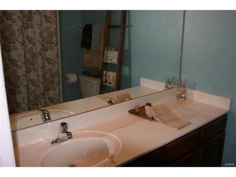 11303 Spring Creek Ln, O'fallon, MO 63368 photo 8