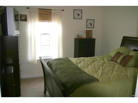 11303 Spring Creek Ln, O'fallon, MO 63368 photo 7