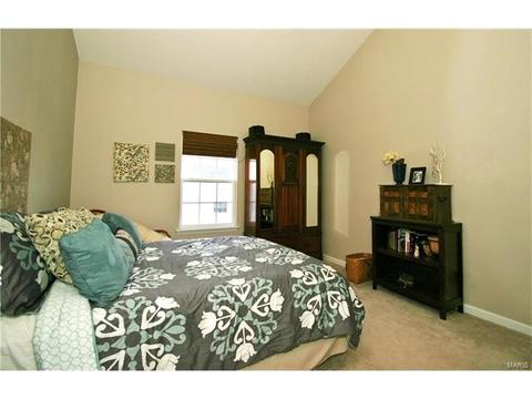 11303 Spring Creek Ln, O'fallon, MO 63368 photo 5