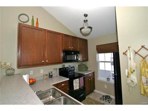 11303 Spring Creek Ln, O'fallon, MO 63368 photo 4
