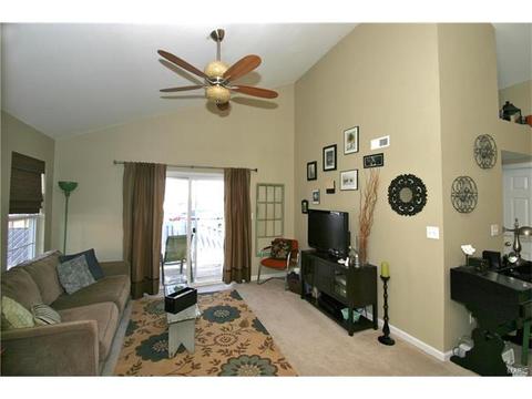 11303 Spring Creek Ln, O'fallon, MO 63368 photo 2