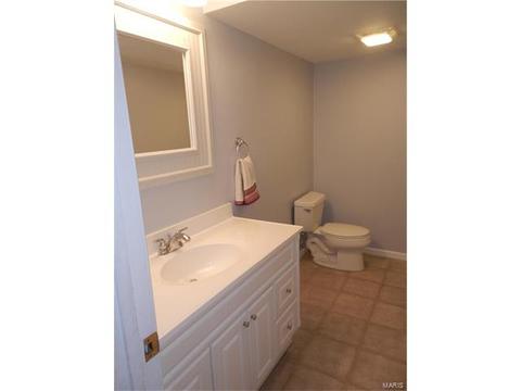 805 Westbrooke Meadows Ct, Ballwin, MO 63021 photo 27