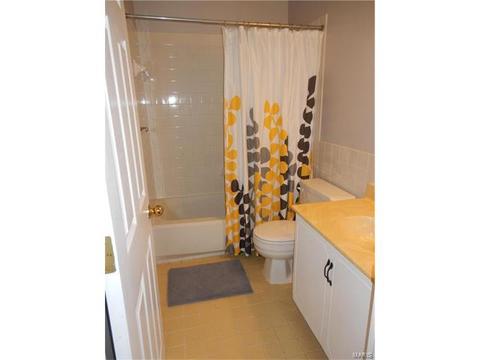 805 Westbrooke Meadows Ct, Ballwin, MO 63021 photo 21
