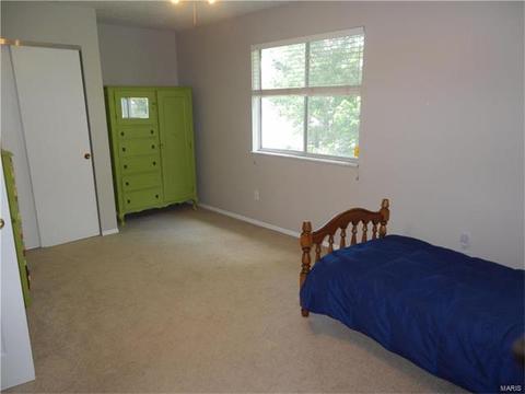 805 Westbrooke Meadows Ct, Ballwin, MO 63021 photo 17