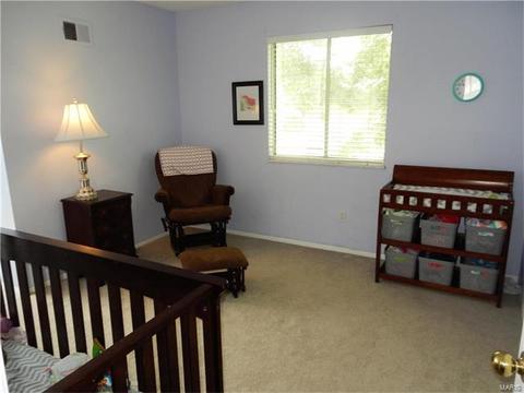 805 Westbrooke Meadows Ct, Ballwin, MO 63021 photo 19