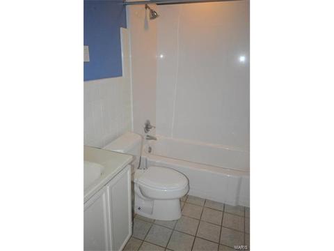 145 Romine Cir, Ballwin, MO 63011 photo 16