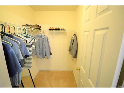 4302 Spring Riv, O'fallon, MO 63368 photo 7