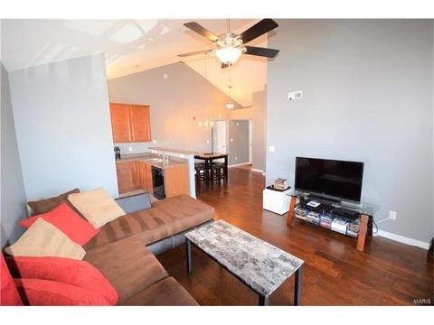4302 Spring Riv, O'fallon, MO 63368 photo 3