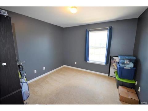 4302 Spring Riv, O'fallon, MO 63368 photo 8