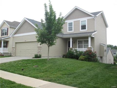 11216 Tea Olive Dr, Bridgeton, MO 63044 photo 2