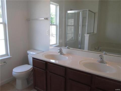 11216 Tea Olive Dr, Bridgeton, MO 63044 photo 8