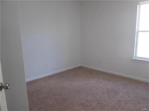 11216 Tea Olive Dr, Bridgeton, MO 63044 photo 10