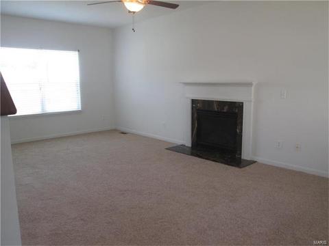 11216 Tea Olive Dr, Bridgeton, MO 63044 photo 3