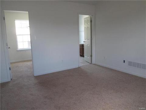 11216 Tea Olive Dr, Bridgeton, MO 63044 photo 7