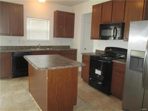11216 Tea Olive Dr, Bridgeton, MO 63044 photo 5